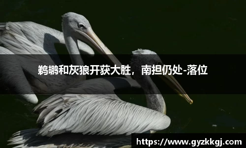 DB真人官网